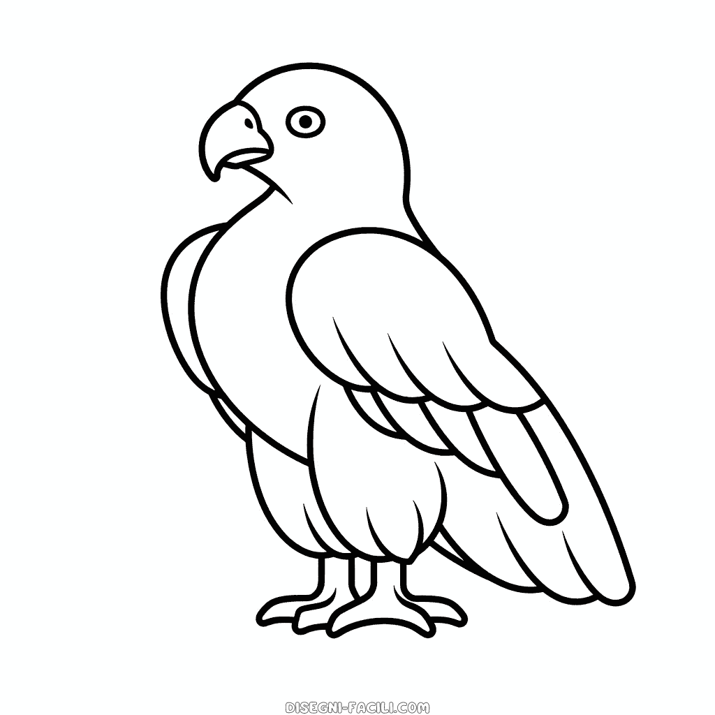 Disegno facile di aquila