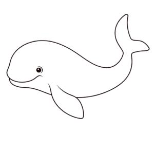 Disegno facile di balena beluga