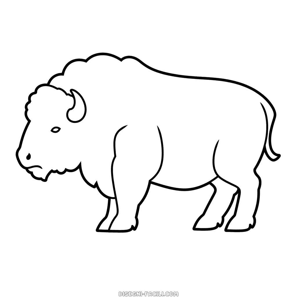 Disegno facile di bisonte