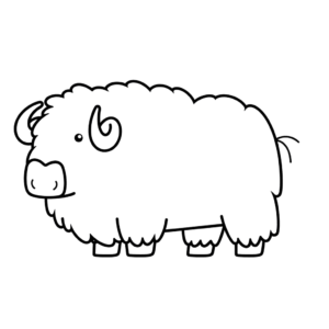 Disegno facile di bue muschiato