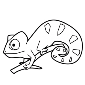 Disegno facile di camaleonte