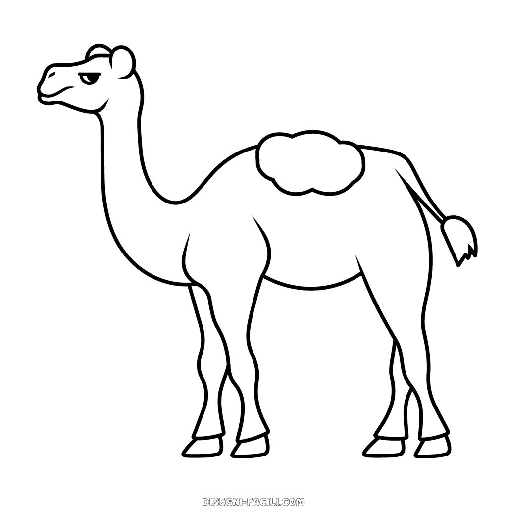 Disegno facile di cammello