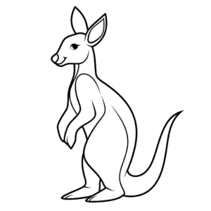 Disegno facile di canguro