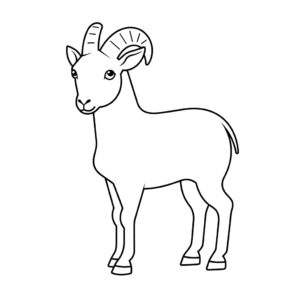Disegno facile di capra