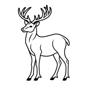 Disegno facile di cervo rosso