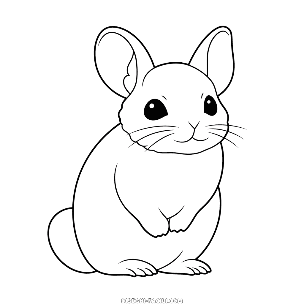 Disegno facile di cincillà