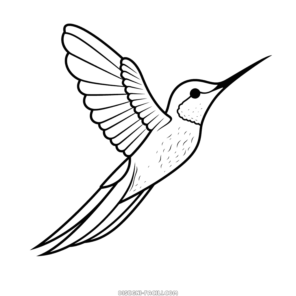 Disegno facile di colibrì