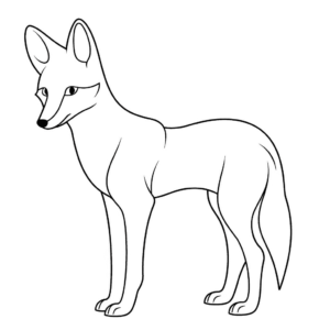 Disegno facile di coyote