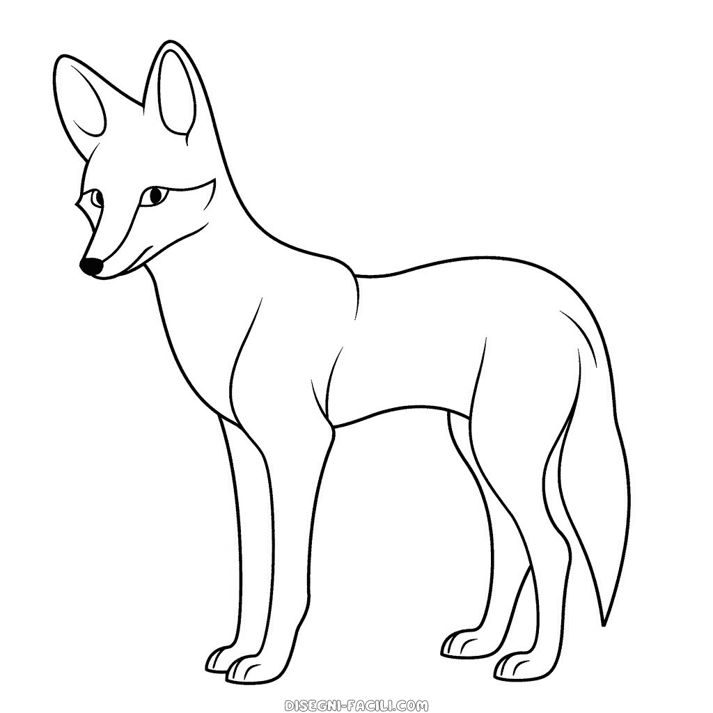 Disegno facile di coyote