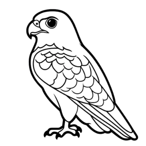 Disegno facile di falco