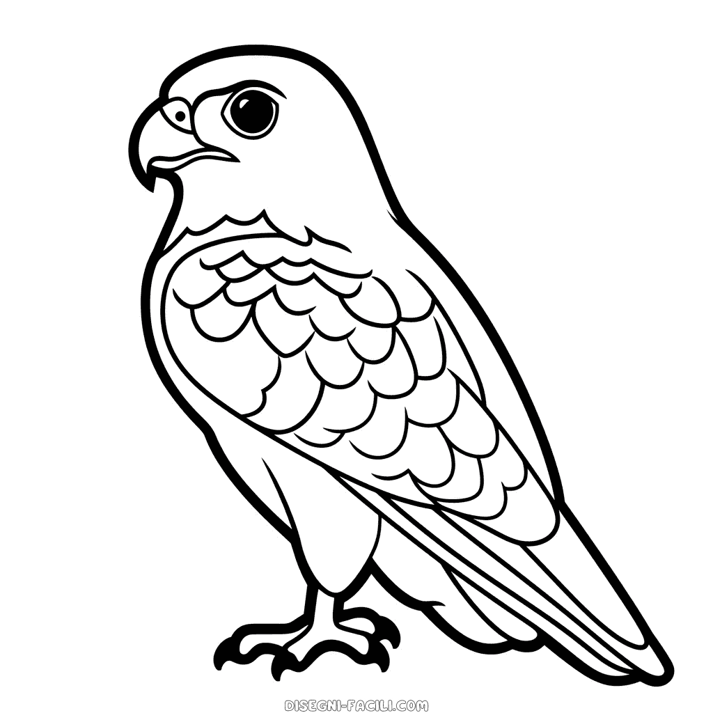 Disegno facile di falco