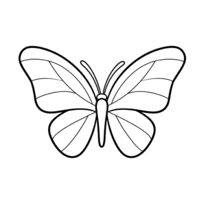 Disegno facile di farfalla