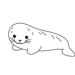 Disegno facile di foca leopardo