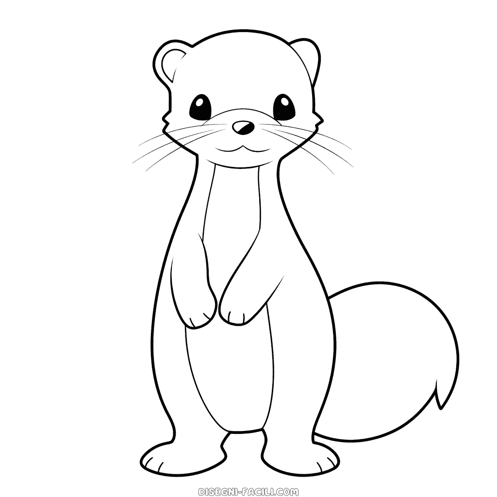 Disegno facile di furetto