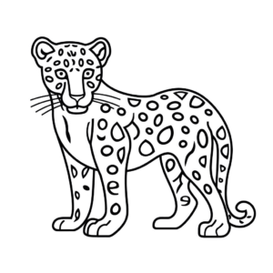 Disegno facile di giaguaro