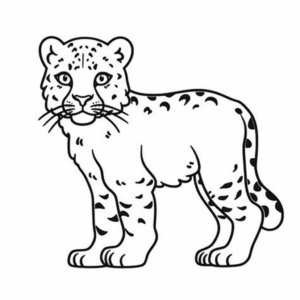 Disegno facile di leopardo delle nevi