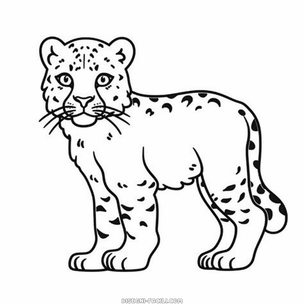 Disegno facile di leopardo delle nevi