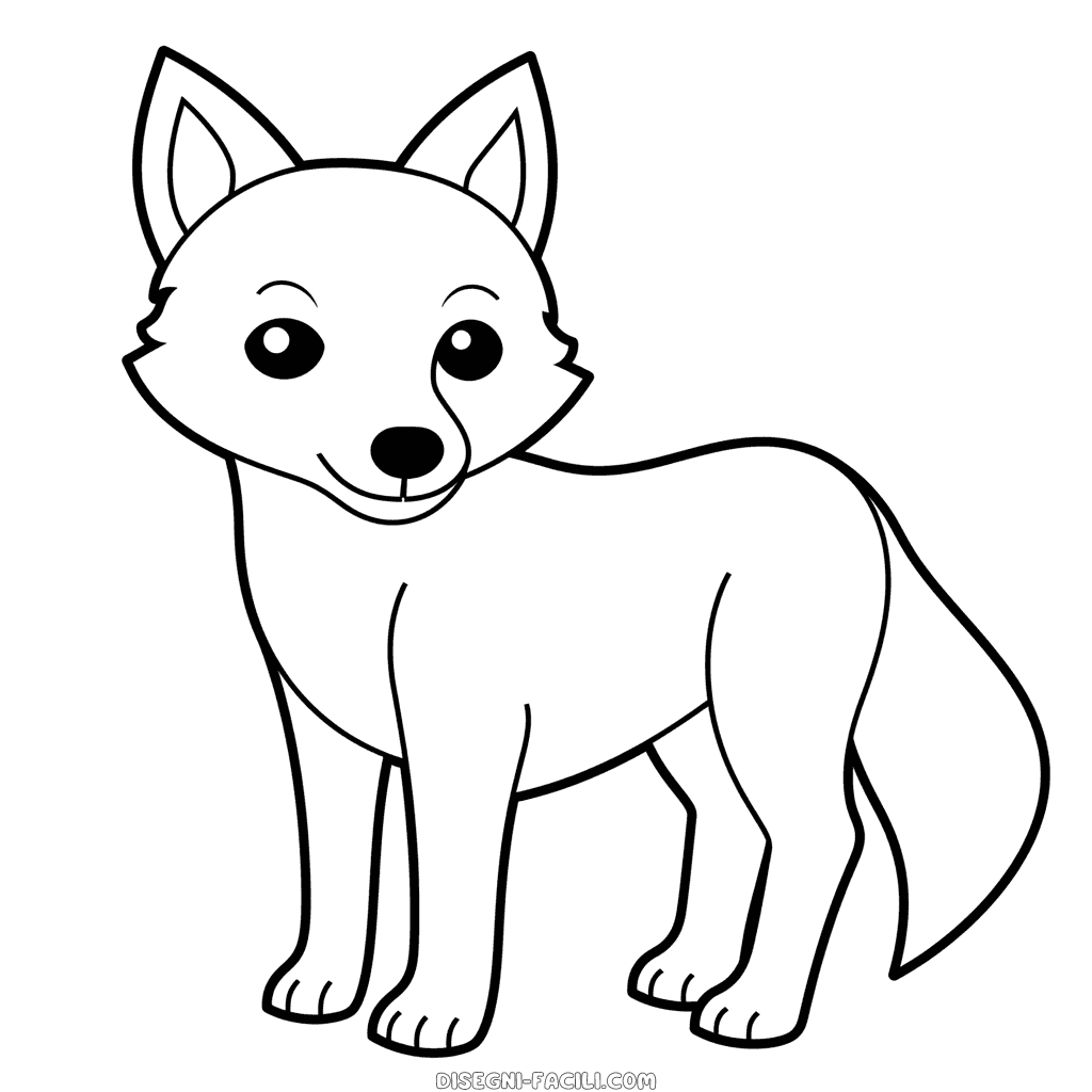 Disegno facile di lupo grigio