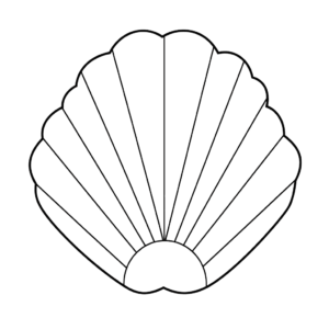 Disegno facile di mollusco