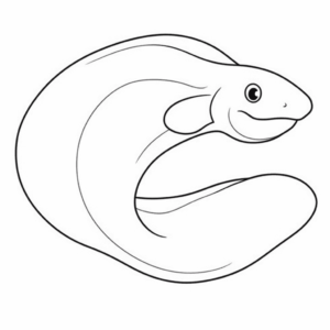Disegno facile di murena