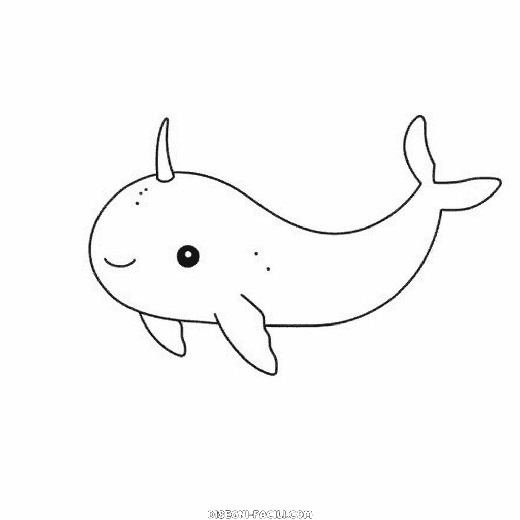 Disegno facile di narvalo