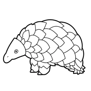 Disegno facile di pangolino