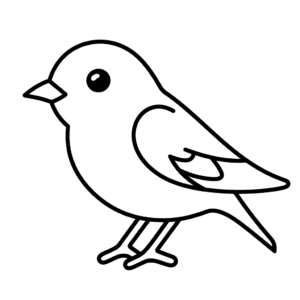 Disegno facile di passero