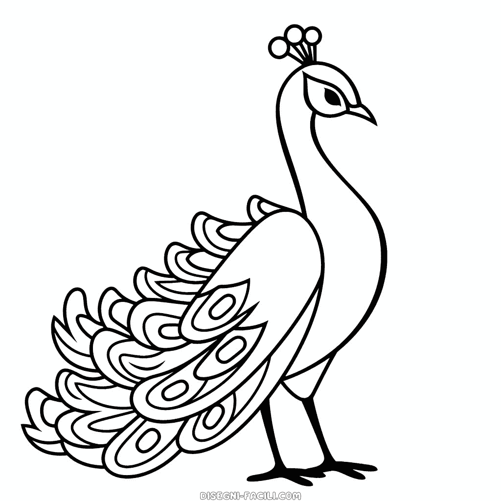 Disegno facile di pavone
