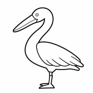 Disegno facile di pellicano