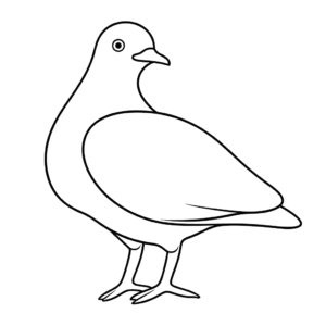 Disegno facile di piccione