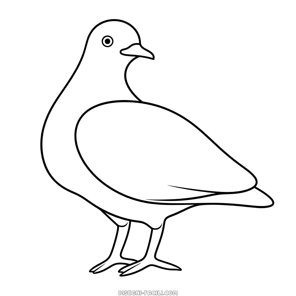 Disegno facile di piccione