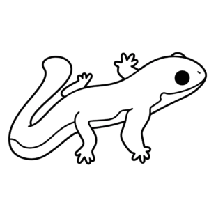 Disegno facile di salamandra