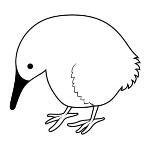 Disegno facile di uccello kiwi