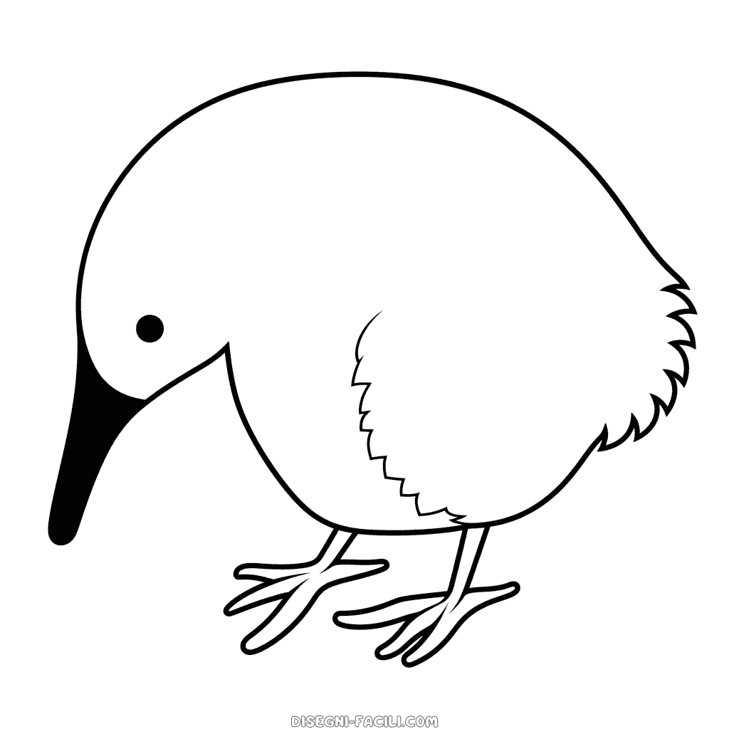 Disegno facile di uccello kiwi