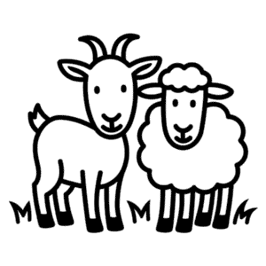 Capra e pecora Disegno Facile