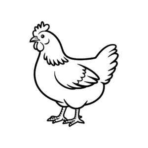 Disegno Facile di Gallina Sussex