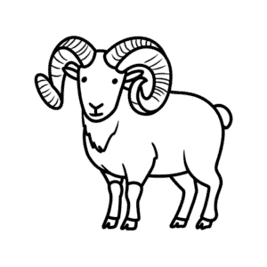 Disegno Facile di Pecora Bighorn