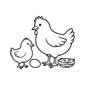 Pulcino e gallina Disegno Facile