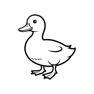 Disegno Facile di Anatra