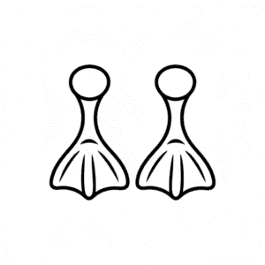 Disegno Facile di Piedi d'Anatra