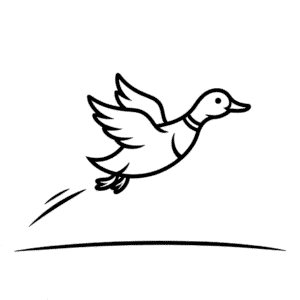 Disegno Facile di Anatra Volante