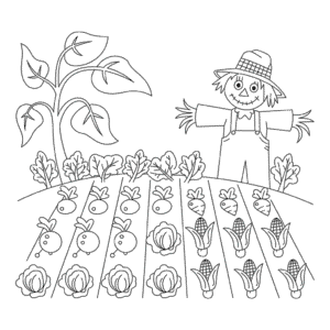 Disegno Facile di Colture agricole