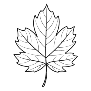 Disegno Facile di Foglia d'Autunno