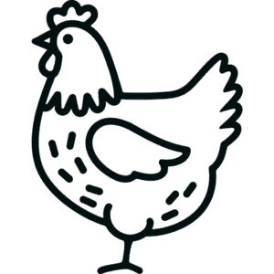 Disegno Facile di Gallina semplice
