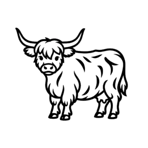 Disegno Facile di Mucca delle Highlands